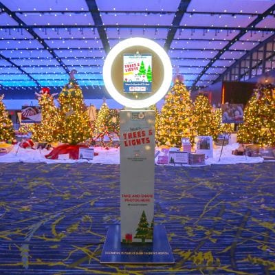 festival-of-trees
